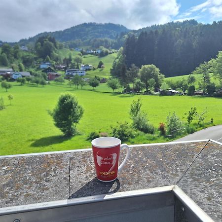 Apartment Rheintal Im Alpenvorland Batschuns المظهر الخارجي الصورة