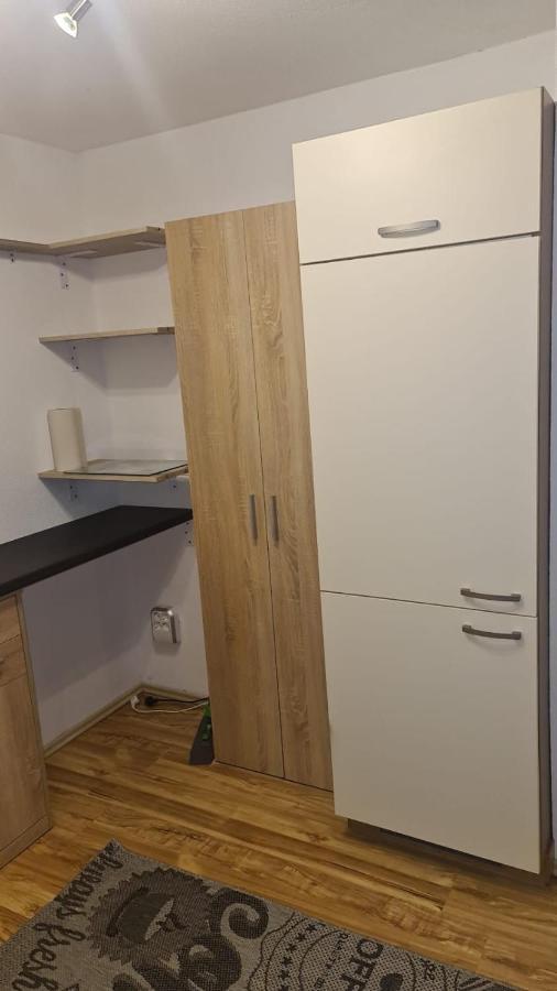 Apartment Rheintal Im Alpenvorland Batschuns المظهر الخارجي الصورة