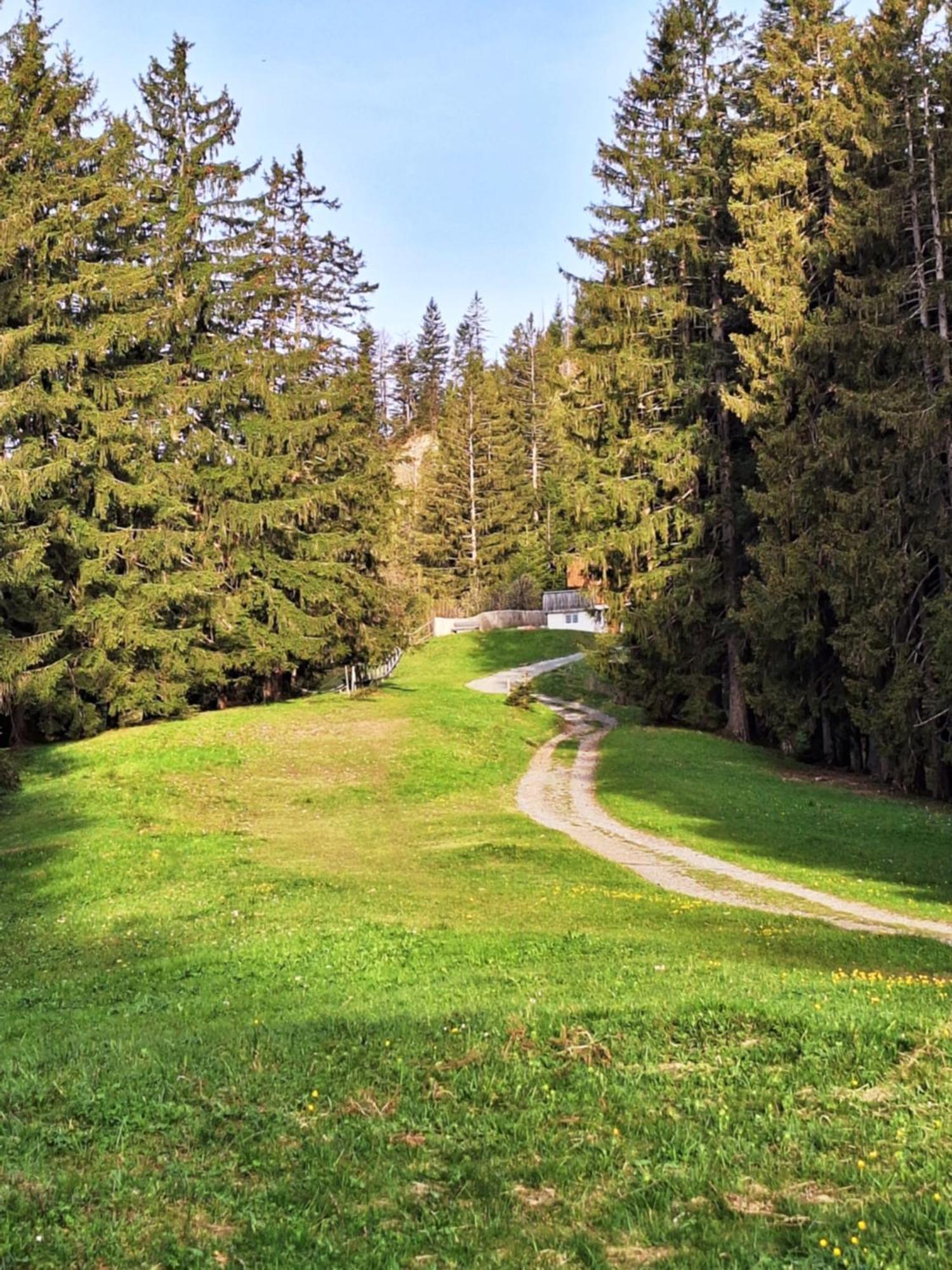 Apartment Rheintal Im Alpenvorland Batschuns المظهر الخارجي الصورة