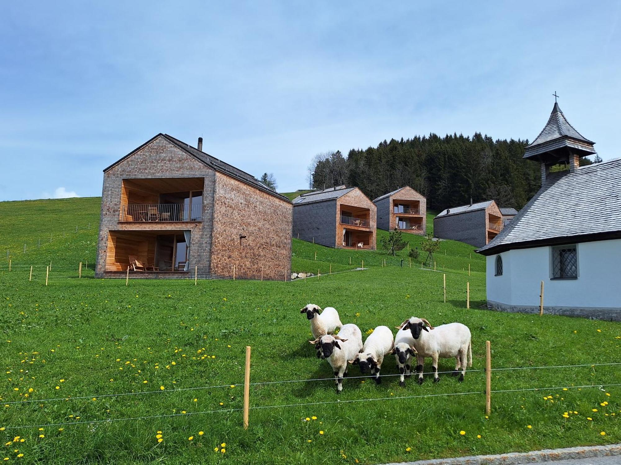 Apartment Rheintal Im Alpenvorland Batschuns المظهر الخارجي الصورة