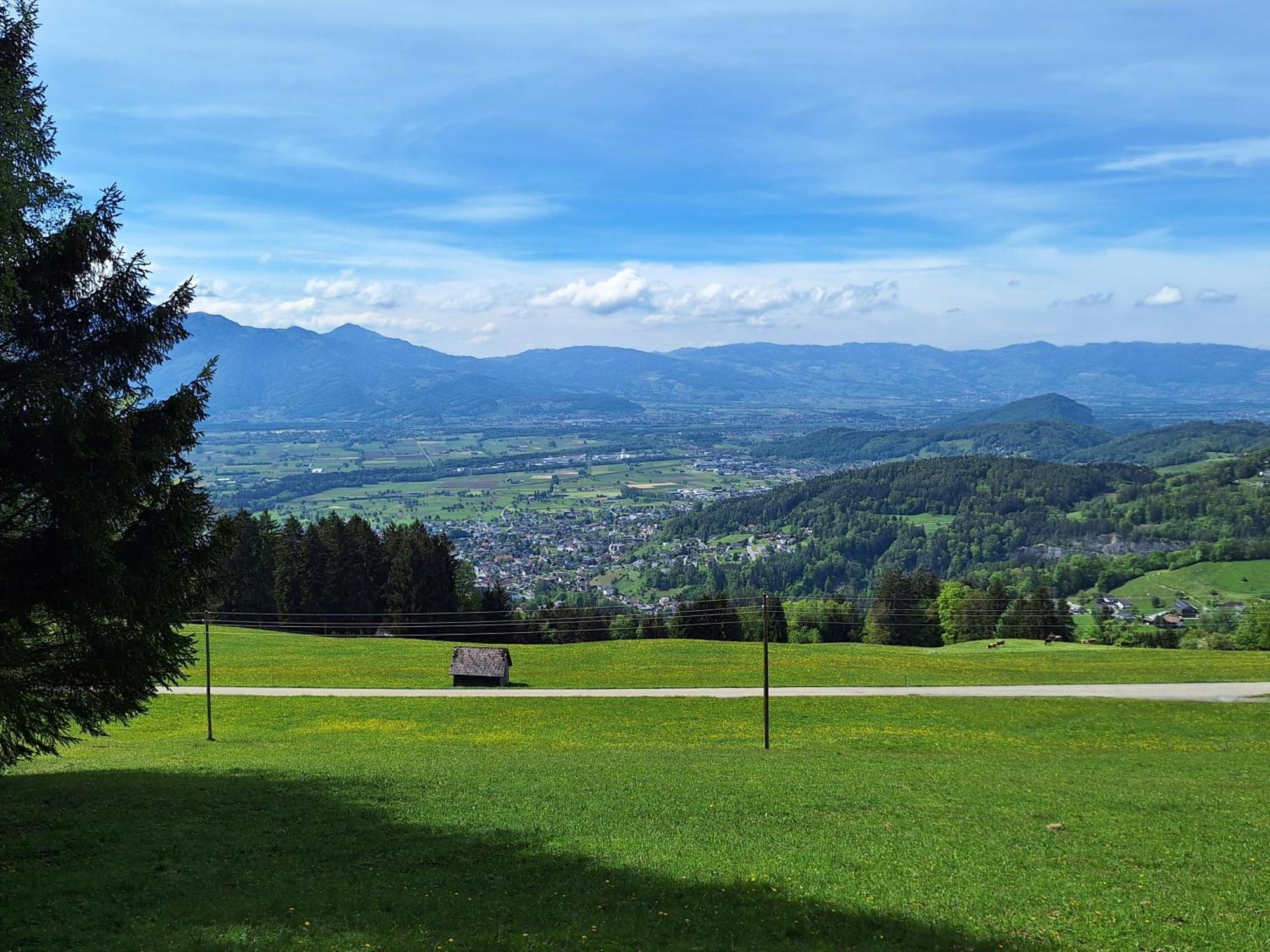 Apartment Rheintal Im Alpenvorland Batschuns المظهر الخارجي الصورة