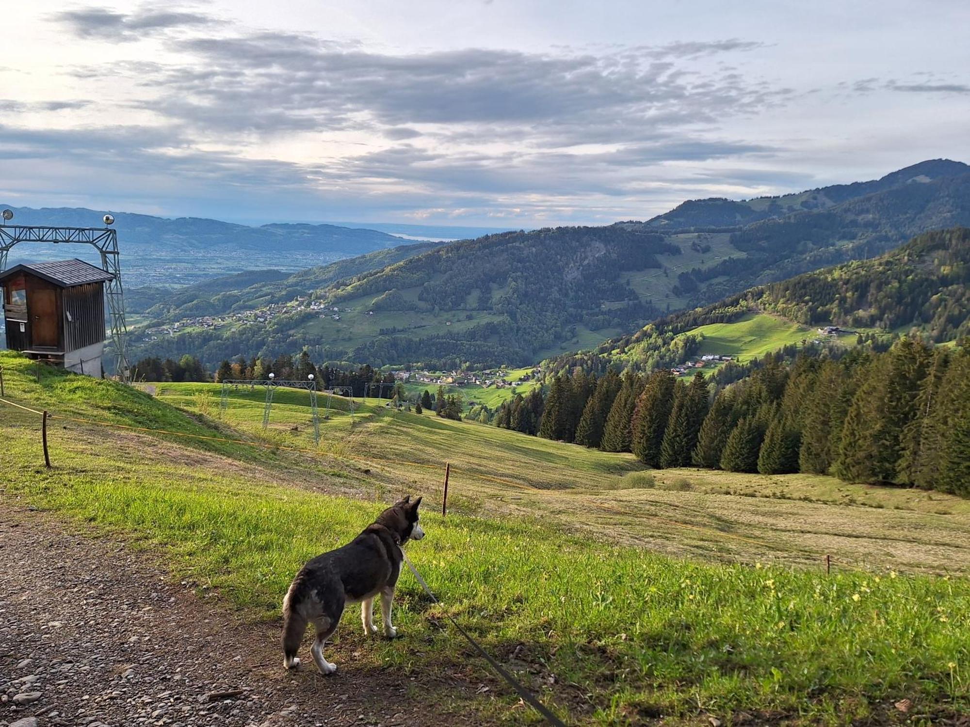 Apartment Rheintal Im Alpenvorland Batschuns المظهر الخارجي الصورة
