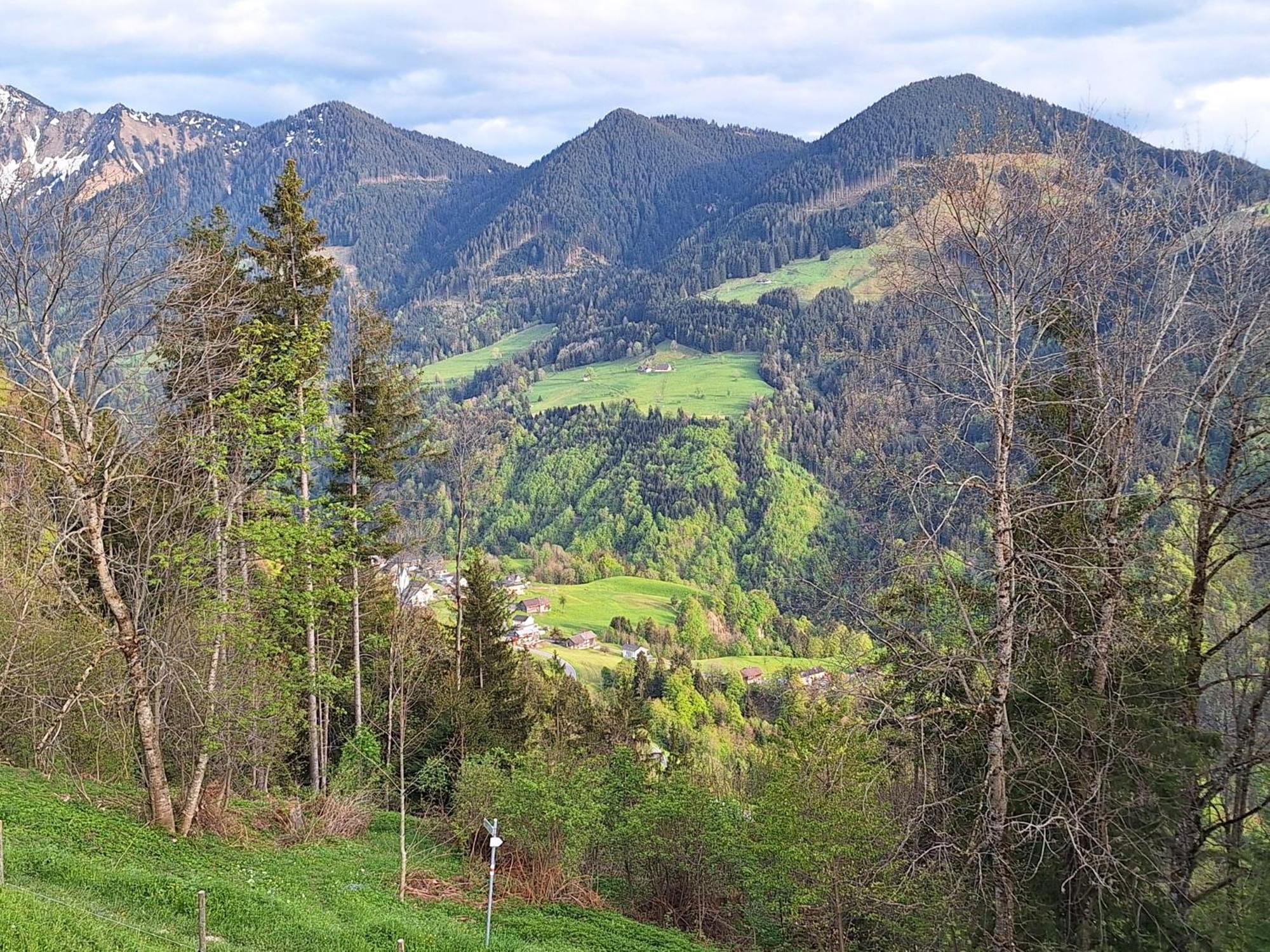 Apartment Rheintal Im Alpenvorland Batschuns المظهر الخارجي الصورة