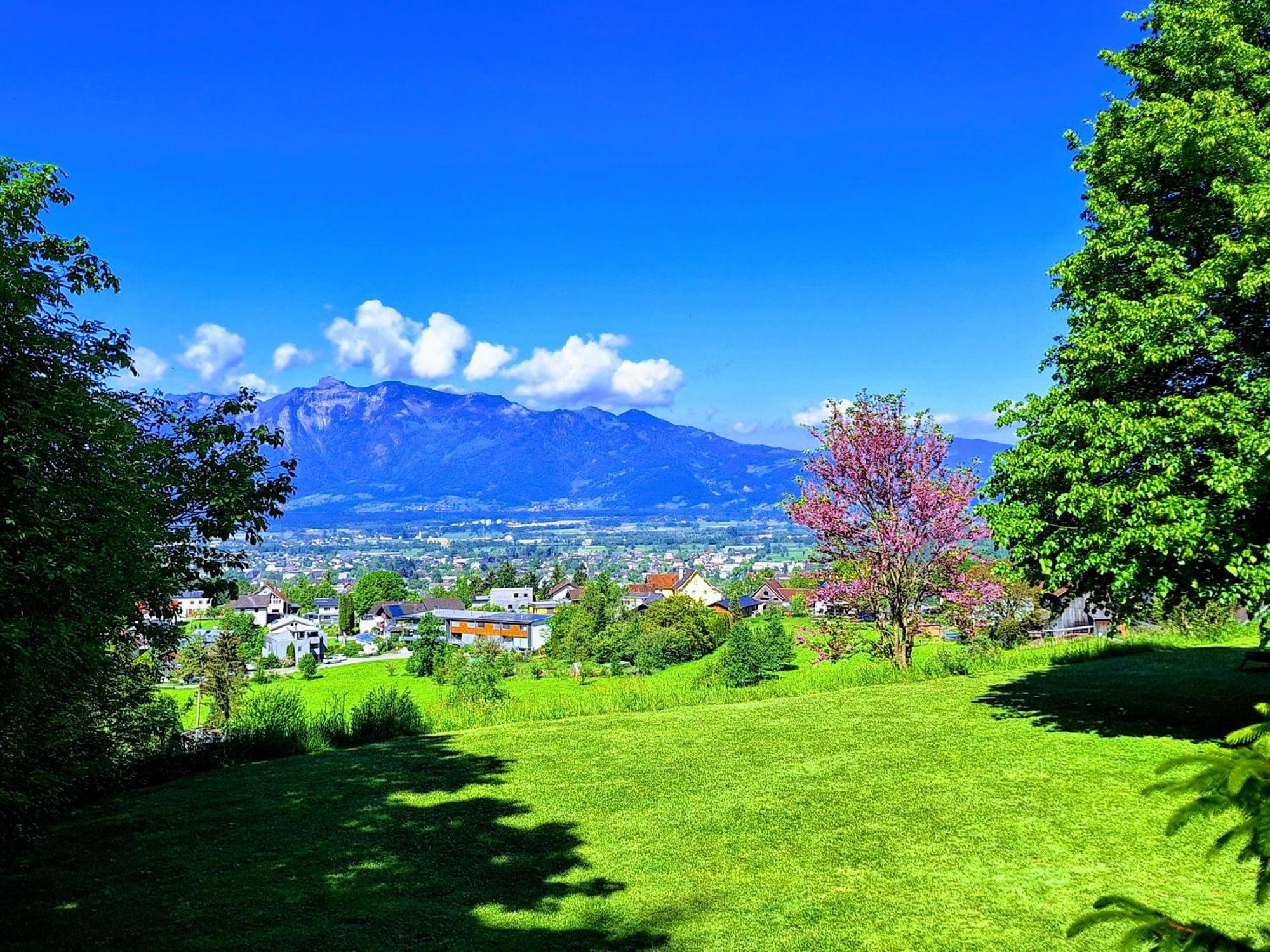 Apartment Rheintal Im Alpenvorland Batschuns المظهر الخارجي الصورة