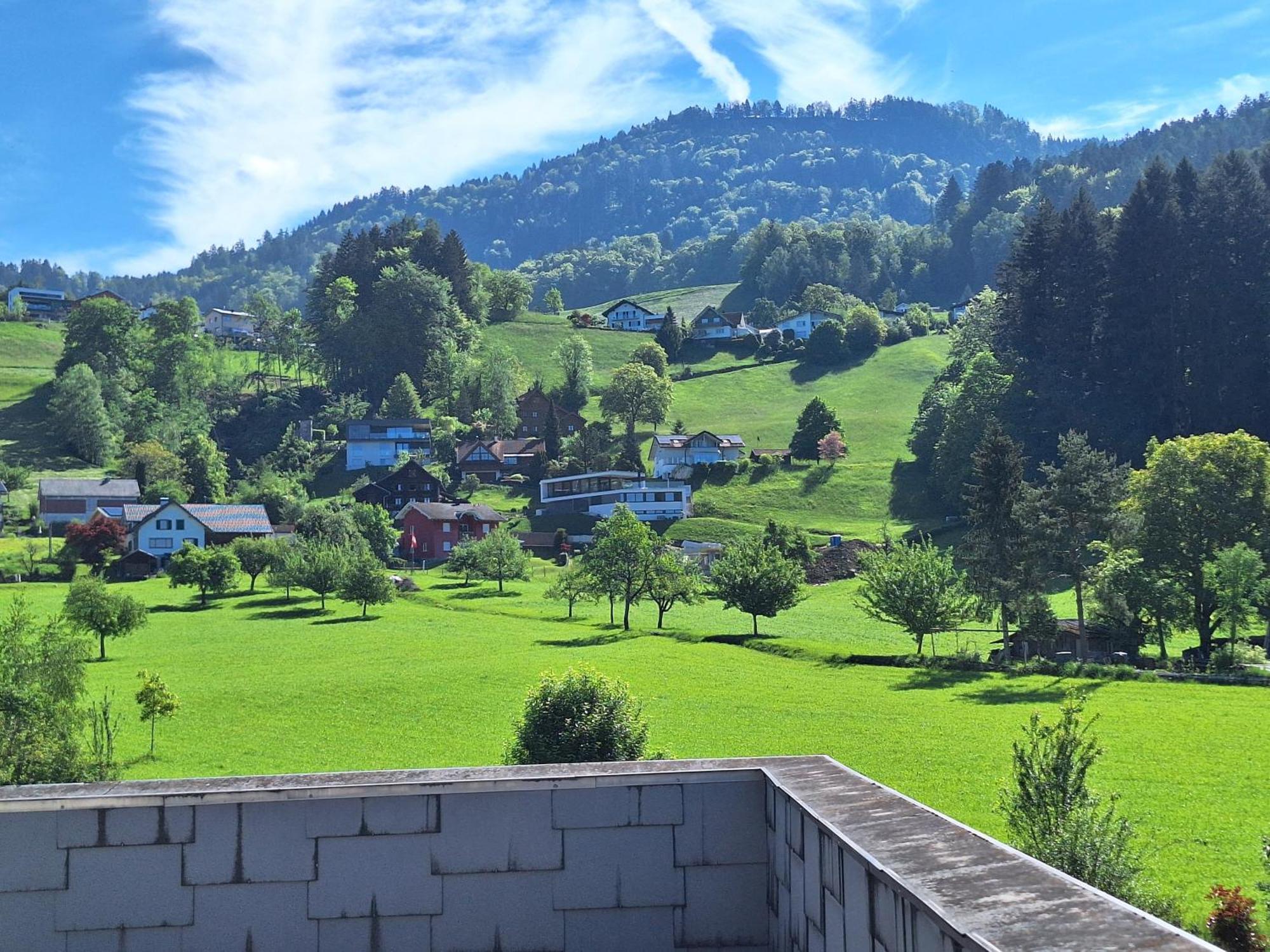 Apartment Rheintal Im Alpenvorland Batschuns المظهر الخارجي الصورة